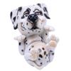 OptiPets Dalmation
