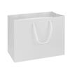 NON-IMPRINTED WHITE Large Paper Bag 10 W x 6 D x 8" H (100/box) 