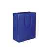 NON-IMPRINTED BLUE Small Paper Bag 6.5 W x 3.25 D x 8" H (100/box) 