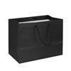 NON-IMPRINTED BLACK Large Paper Bag 10 W x 6 D x 8" H (100/box)