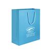 IMPRINTED SKY BLUE Medium Paper Bag 8 W x 4 D x 10" H (100/box | Minimum order - 5 boxes) 