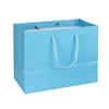 NON-IMPRINTED SKY BLUE Large Paper Bag 10 W x 6 D x 8" H (100/box)