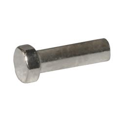 1.2 x 10.0 x 2.5 Silver Rimless Hex Trim Screw (pack of 50)