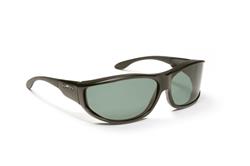 Malloy - Black Frame - Gray Lens