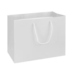 NON-IMPRINTED WHITE Large Paper Bag 10 W x 6 D x 8" H (100/box) 
