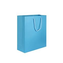 NON-IMPRINTED SKY BLUE Small Paper Bag 6.5 W x 3.25 D x 8" H (100/box)