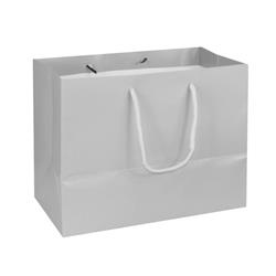 NON-IMPRINTED GRAY Large Paper Bag 10 W x 6 D x 8" H (100/box)