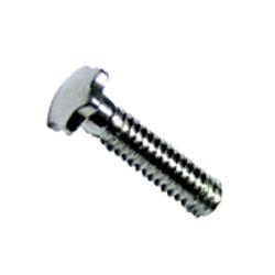 1.4 x 11 x 2.3 Silver Star Head Rimless Screw (pack of 50)