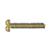 1.7 x 9.0 x 2.8 Gold Rimless Rosette Screw (pack of 50)