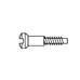 1.1 x 5.5 x 1.7 Self-Aligning Silver Nose Pad Screw (pack of 100)