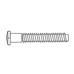 1.4 x 10.6 x 2.2 Silver Rimless Hex Trim Screw (pack of 50)