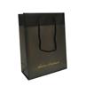 NON-IMPRINTED Vision Source FROSTED Bag - Small Vertical (100/box)