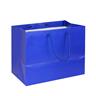 NON-IMPRINTED BLUE Large Paper Bag 10 W x 6 D x 8" H (100/box)