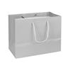 NON-IMPRINTED GRAY Large Paper Bag 10 W x 6 D x 8" H (100/box)