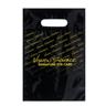 NON-IMPRINTED Vision Source PLASTIC Bag - Small (100/box)