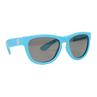 Ages 0-3 Baby Blue Frame